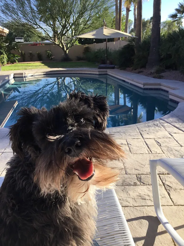 Scottsdale Ranch Animal Hospital 10