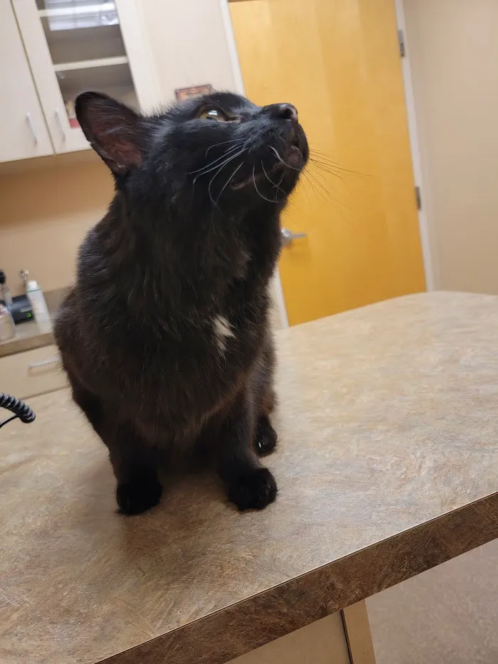 Scottsdale Ranch Animal Hospital 8