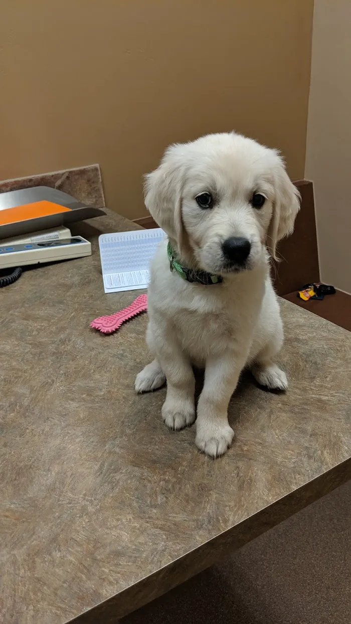 Scottsdale Ranch Animal Hospital 3