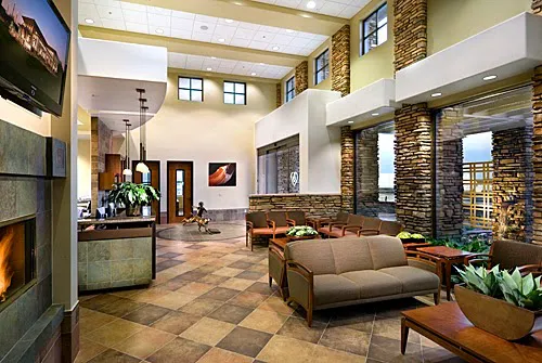 Thrive Pet Healthcare Specialists North Scottsdale 1