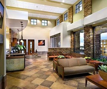 Thrive Pet Healthcare Specialists North Scottsdale