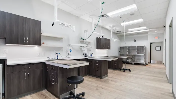 Phoenix Mobile Veterinarians 1