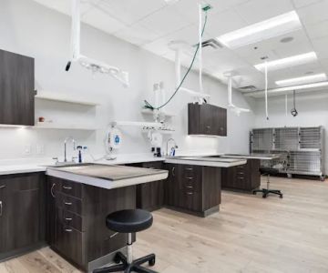 Phoenix Mobile Veterinarians