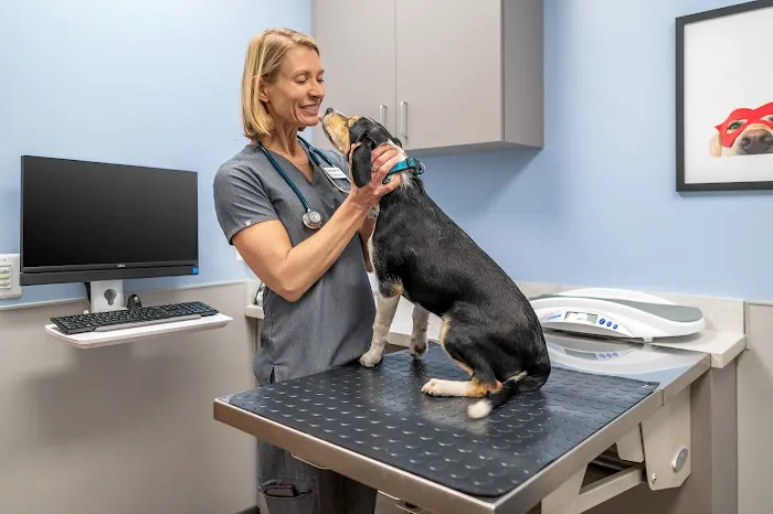Livewell Animal Hospital at The Parks 12
