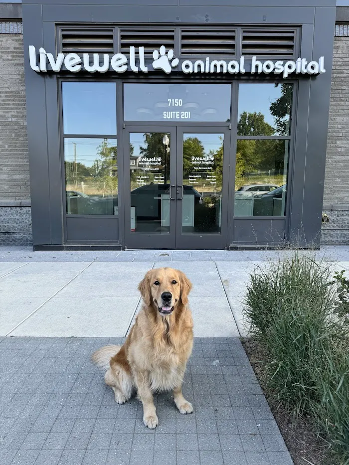 Livewell Animal Hospital at The Parks 12