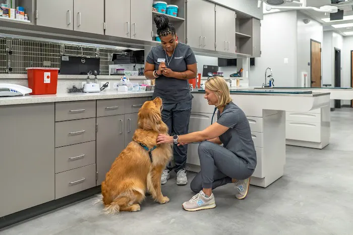 Livewell Animal Hospital at The Parks 12