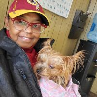 Oakcrest Veterinary Clinic ico