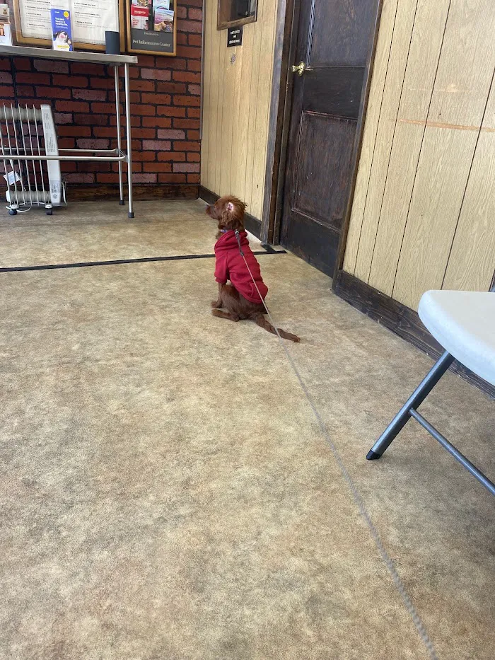Oakcrest Veterinary Clinic 12