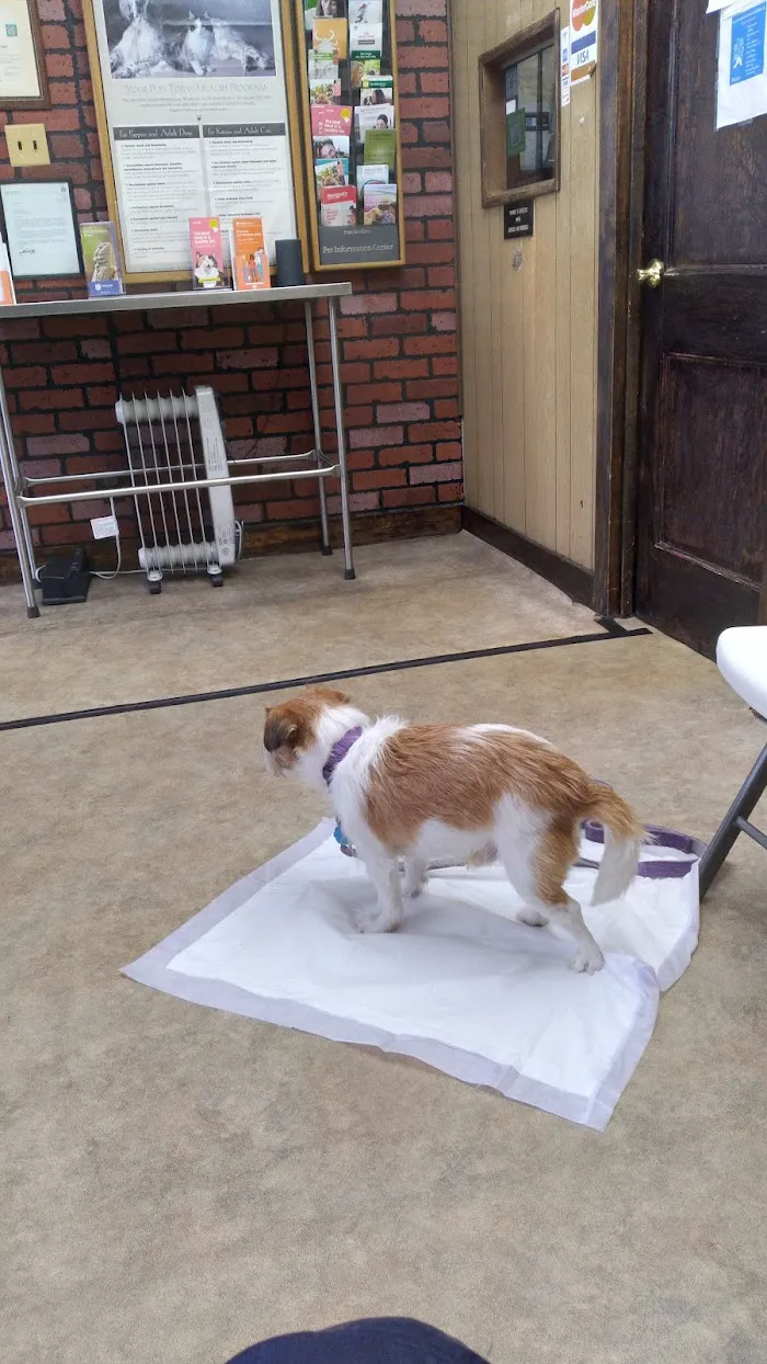 Oakcrest Veterinary Clinic 12
