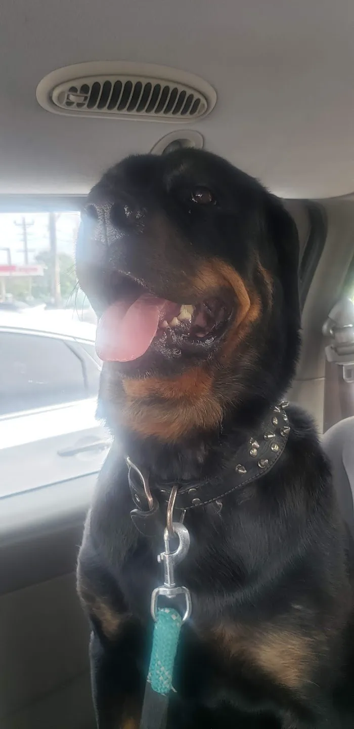 Oakcrest Veterinary Clinic 12