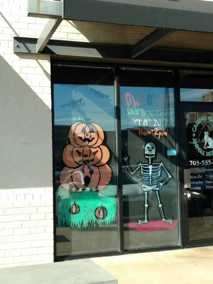 Caring Hands Animal Hospital - Arlington 1