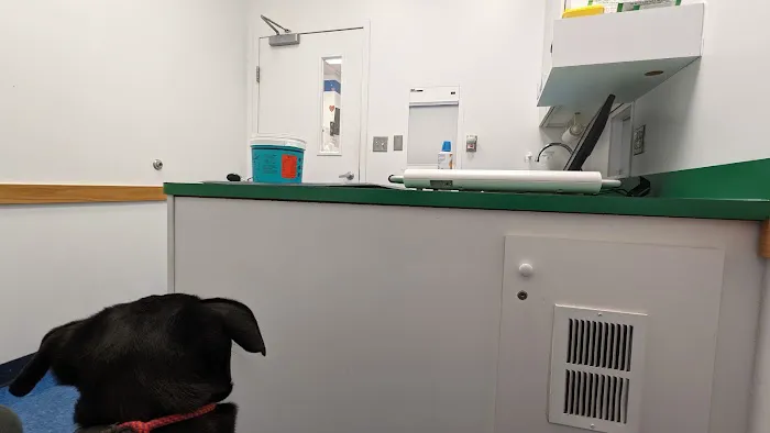 Caring Hands Animal Hospital - Arlington 6
