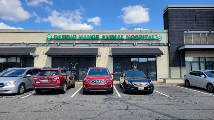 Caring Hands Animal Hospital - Arlington 8