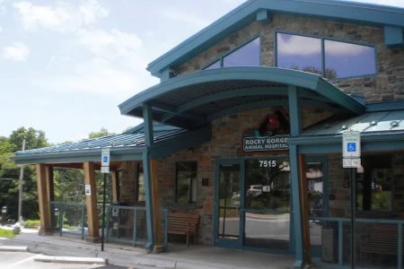 Rocky Gorge Animal Hospital, Resort & Spa