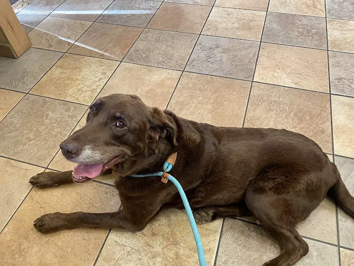 Rocky Gorge Animal Hospital, Resort & Spa 12