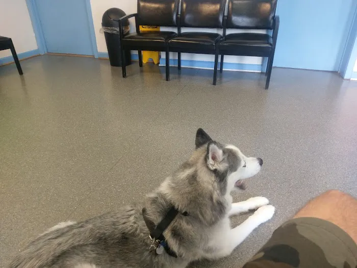 Ballston Animal Hospital 4