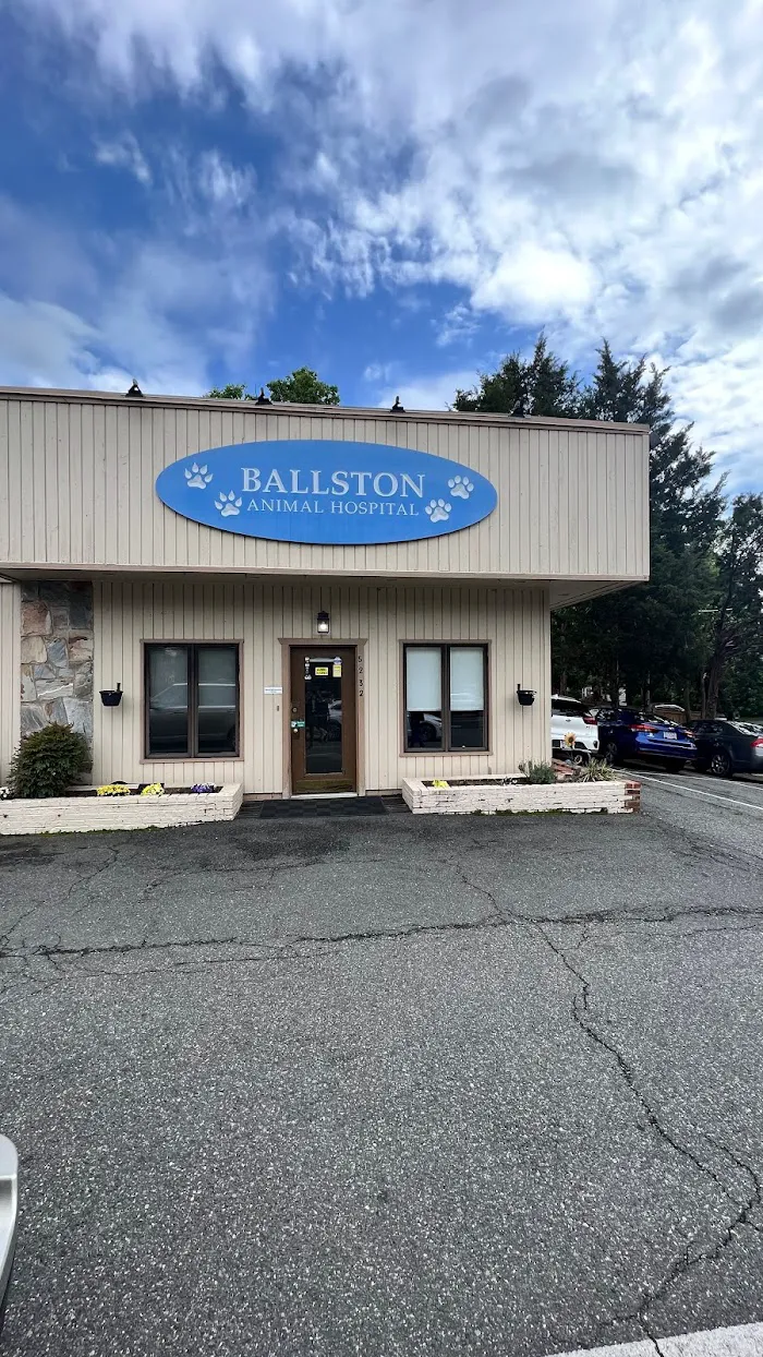 Ballston Animal Hospital 10