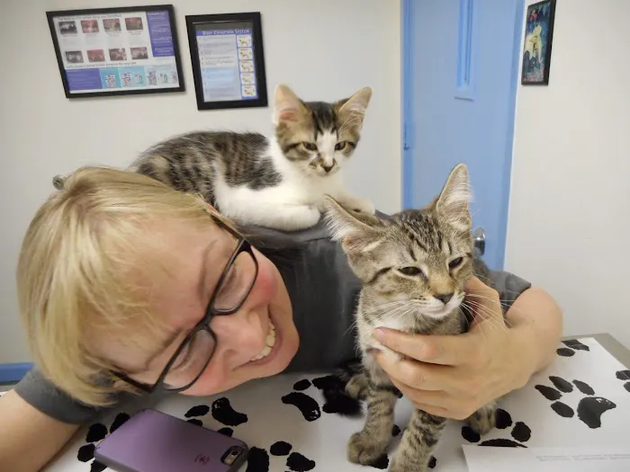 Ballston Animal Hospital 5