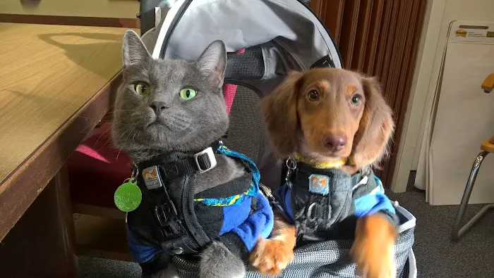 Ballston Animal Hospital 7