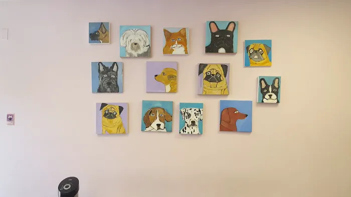 Takoma Park Animal Clinic Primary Care (NON-Emergency) 12