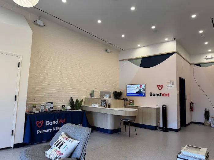 Bond Vet - Logan Circle 12