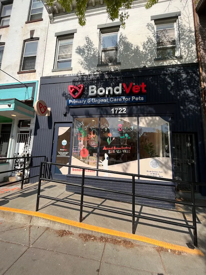 Bond Vet - Logan Circle 12