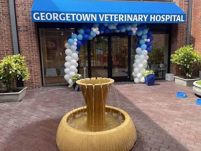 Georgetown Veterinary Hospital 12