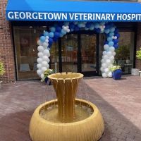 Georgetown Veterinary Hospital ico