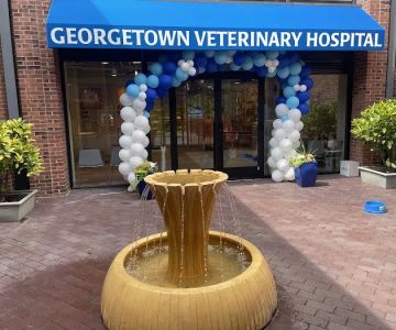 Georgetown Veterinary Hospital
