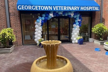 Georgetown Veterinary Hospital