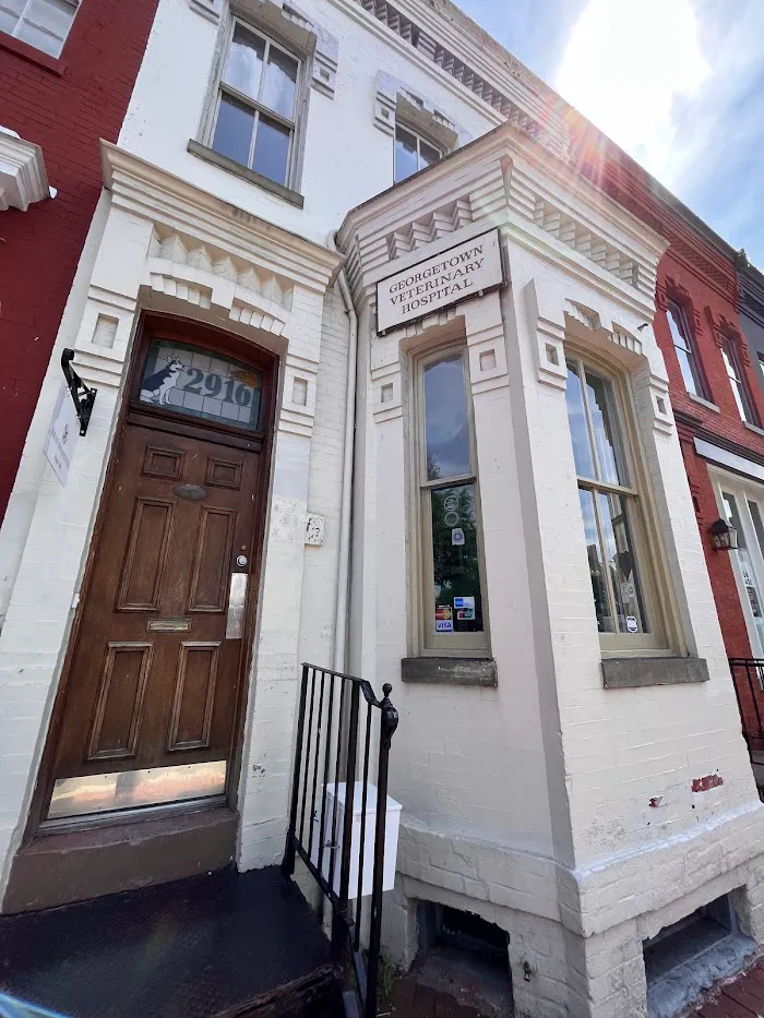 Georgetown Veterinary Hospital 12