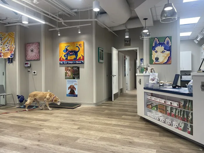 Georgetown Veterinary Hospital 12