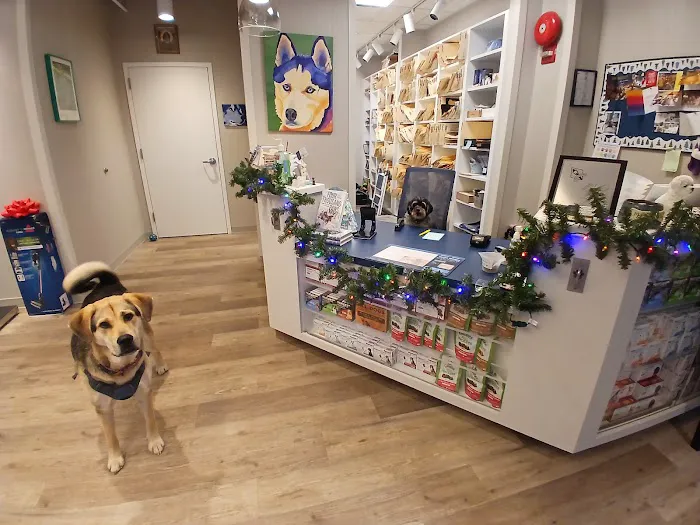 Georgetown Veterinary Hospital 12