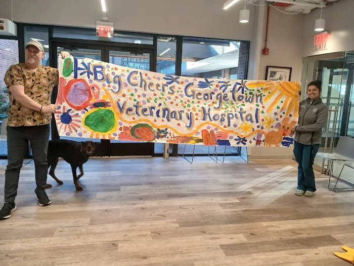 Georgetown Veterinary Hospital 12
