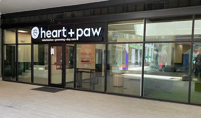 Heart + Paw 7