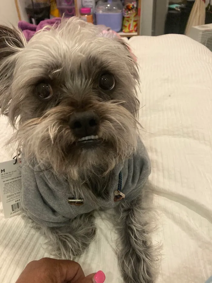 Banfield Pet Hospital 1
