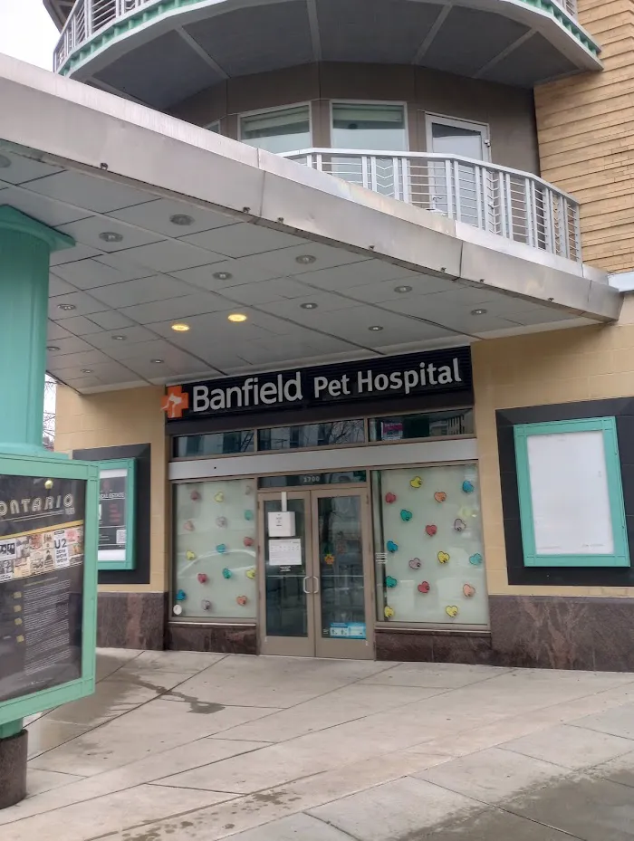 Banfield Pet Hospital 4