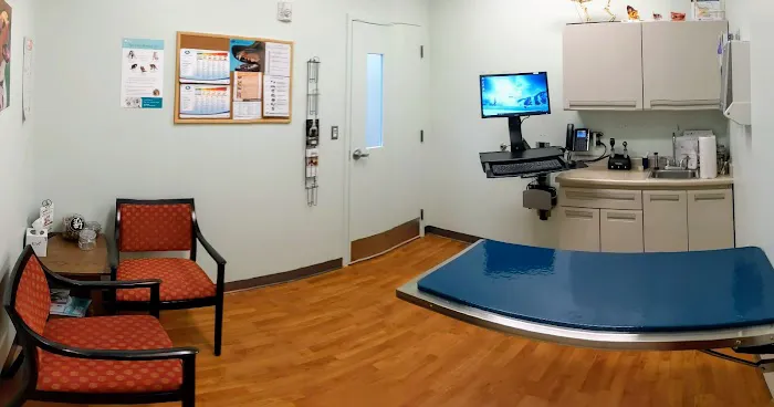 Arlington Animal Hospital 12
