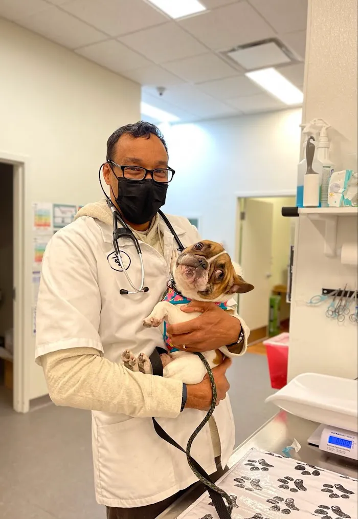 Arlington Animal Hospital 12