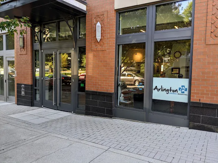 Arlington Animal Hospital 12