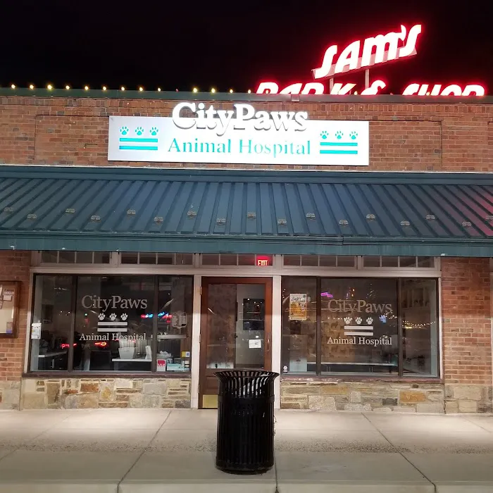 CityPaws Animal Hospital 3