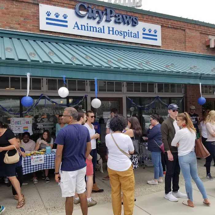 CityPaws Animal Hospital 7