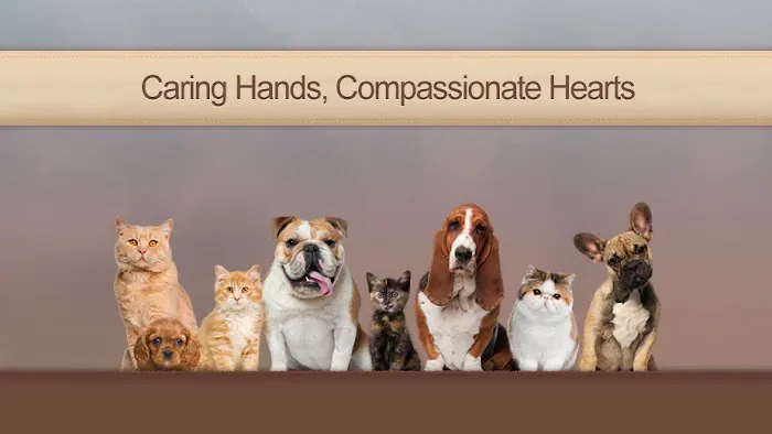 CityPaws Animal Hospital 12