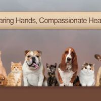 CityPaws Animal Hospital ico