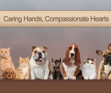 CityPaws Animal Hospital