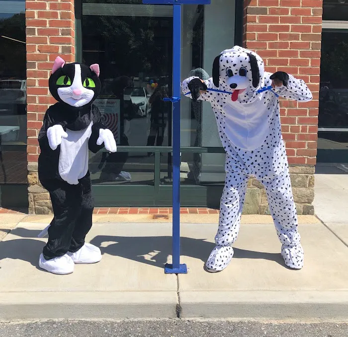 CityPaws Animal Hospital 12