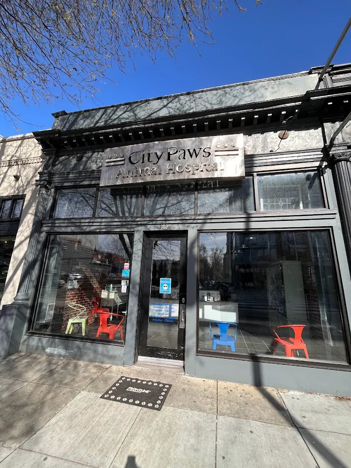 CityPaws Animal Hospital 12