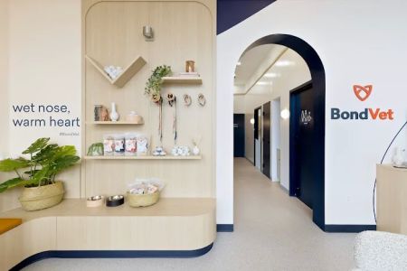 Bond Vet - Arlington