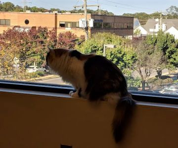 Hope Advanced Veterinary Center