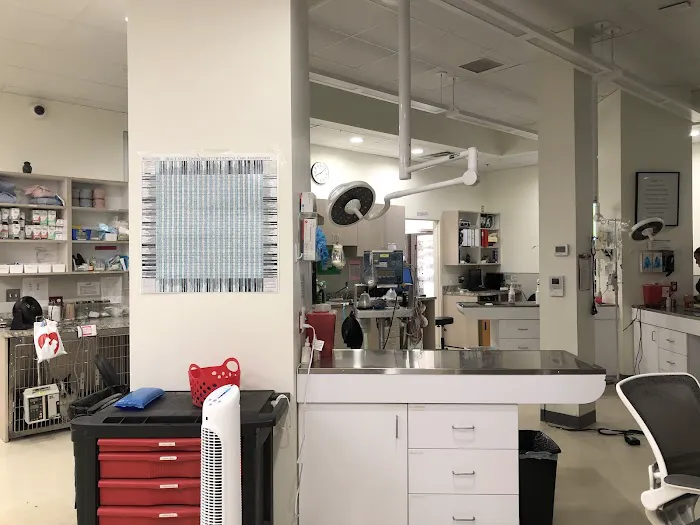 Metropolitan Animal Emergency and Specialty Center 12